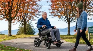 Illustration detailing the dual lithium battery removal system on a motorized quick fold wheelchair for easy home charging.